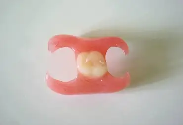 Butterfly denture